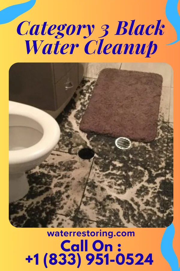 Category 3 Black Water Cleanup in Kearns, UT