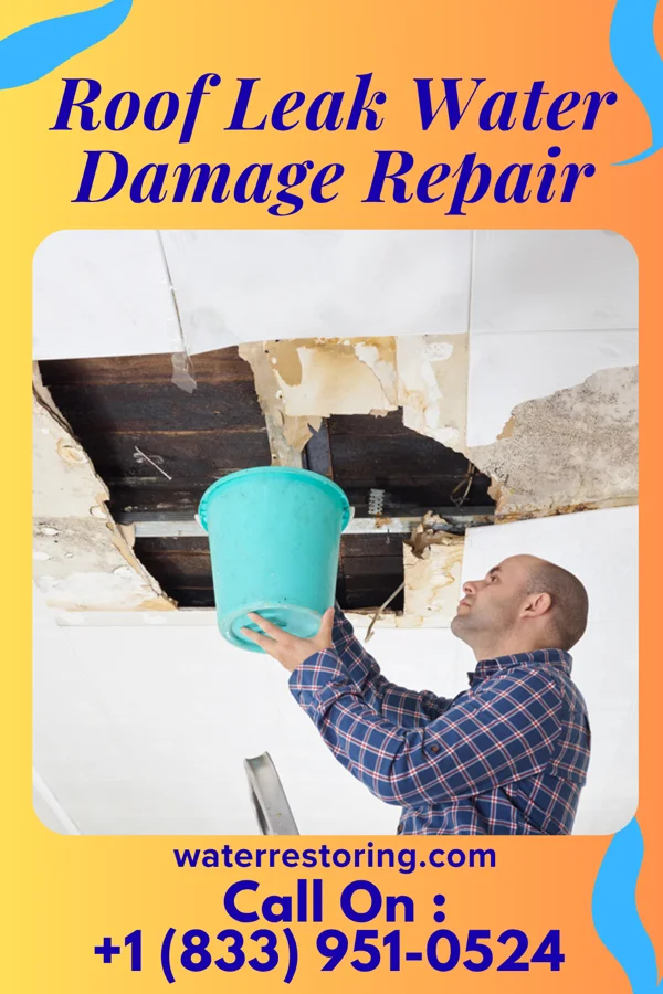Roof Leak Water Damage Repair in Kearns, UT
